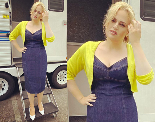 rebel wilson Rebel Wilson fisico al top su Instagram