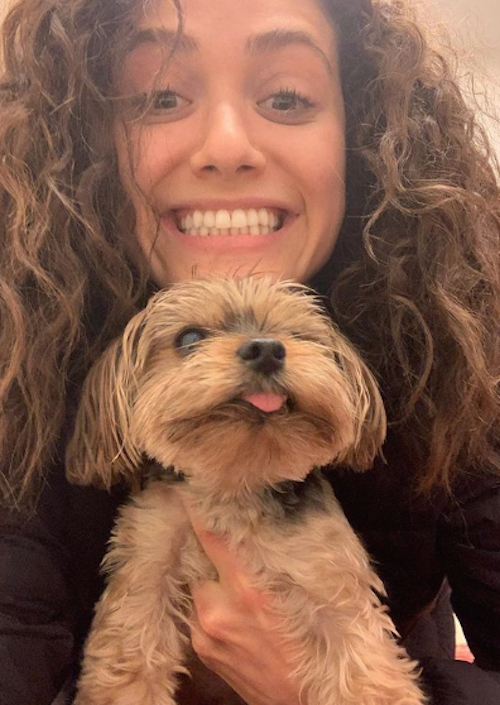 Emmy Rossum piange la morte del suo cagnolino Schermata 2021 04 09 alle 09.54.06 Emmy Rossum piange la morte del suo cagnolino