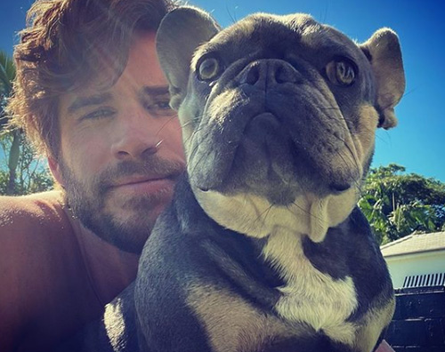 liam hemsworth 1 Liam Hemsworth, selfie su Instagram