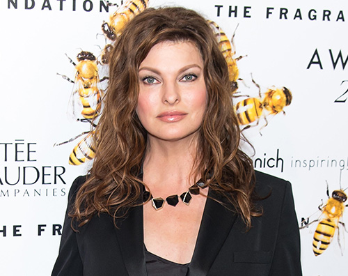 Linda evangelista Linda Evangelista: مشوهة بشكل دائم بسبب قرص