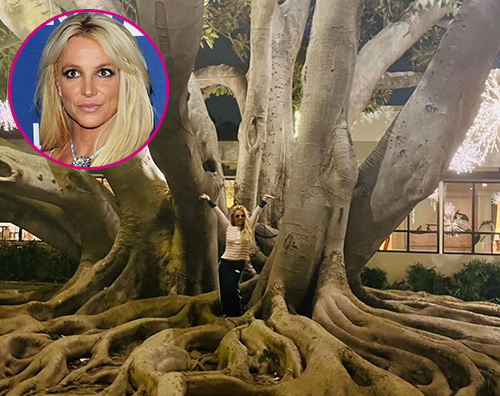 britney Britney Spears si tiene lontana dalle polemiche posando in un albero