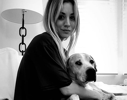 kaley cuoco Kaley Cuoco ricorda il suo cane a un anno dalla scomparsa